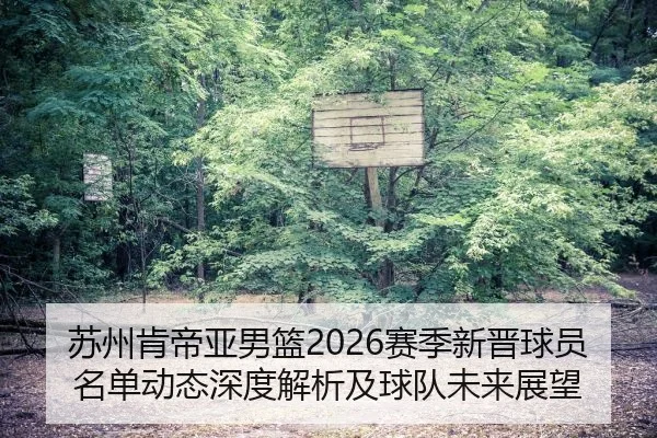 su-zhou-ken-di-ya-nan-lan-sai-ji-xin-jin-qiu-yuan-ming-dan-dong-tai-shen-du-jie-xi-ji-qiu-dui-wei-lai-zhan-wang-2-364.jpg