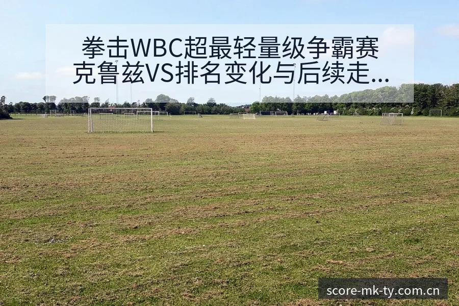 拳击WBC超最轻量级争霸赛克鲁兹VS排名变化与后续走势签 - MK体育
